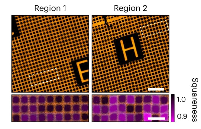 Open access visualization of Microscopy, GelMap grids, Deformation, Squareness