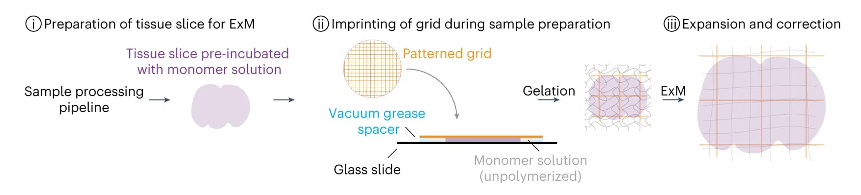 Open access visualization of Workflow, Illustration, GelMap, Tissue Slices, Sample Preparation