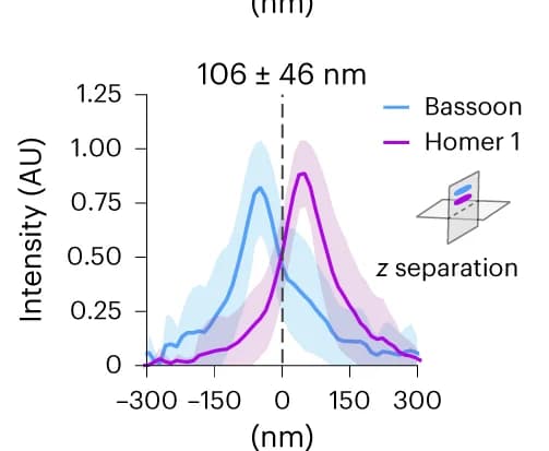 Open access visualization of Line Plot, Error Bars, Density Plot, Bassoon, Homer1