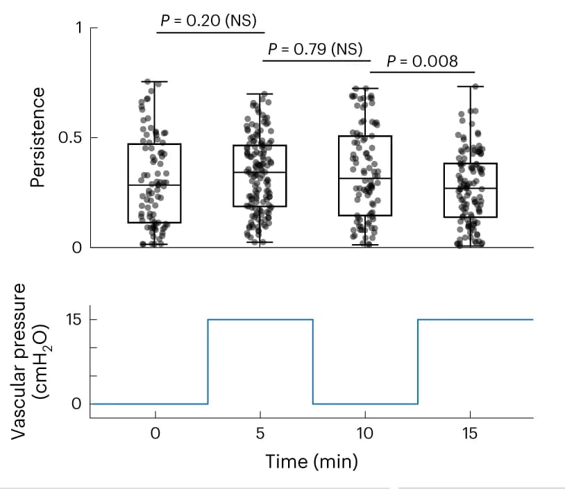 Open access visualization of Box Plot, Line Plot, Neutrophil Migration, Persistence Directionality, LPS-Damaged Lungs