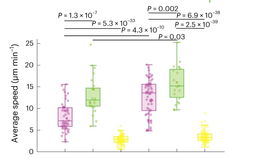 Open access visualization of Box Plot, Scatter Plot, Neutrophil Speed, Persistence, Intra-alveolar Space
