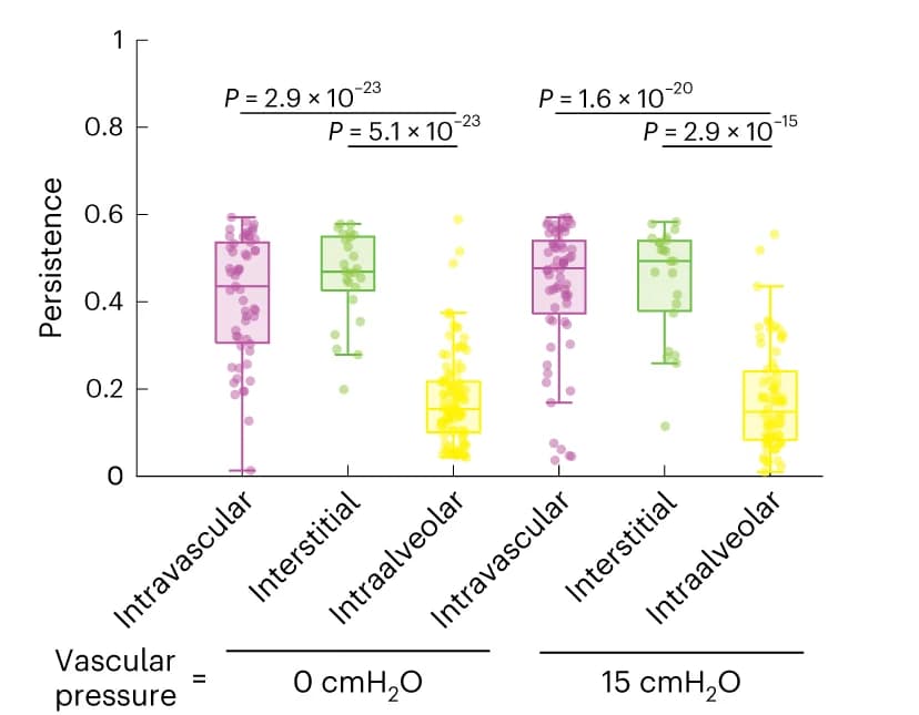 Open access visualization of Box Plot, Scatter Plot, Neutrophil Speed, Persistence, Intra-alveolar Space