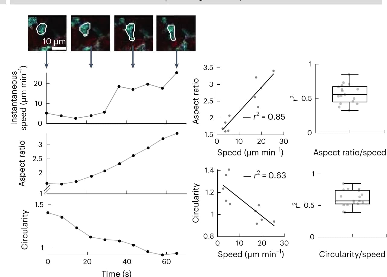 Open access visualization of Line Plot, Scatter Plot, Regression Plot, Box Plot, Microscopy