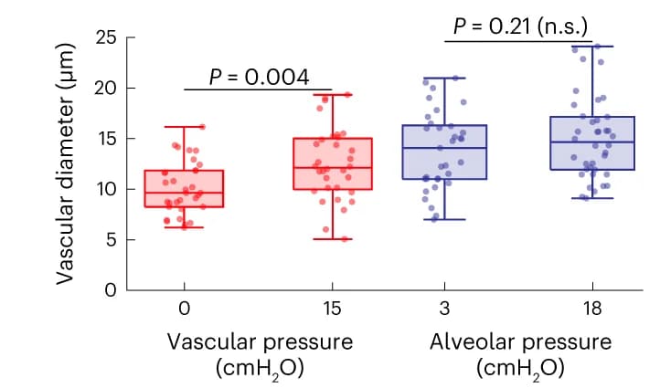 Open access visualization of Box Plot, Scatter Plot, Capillaries, LPS, Alveolar Pressure