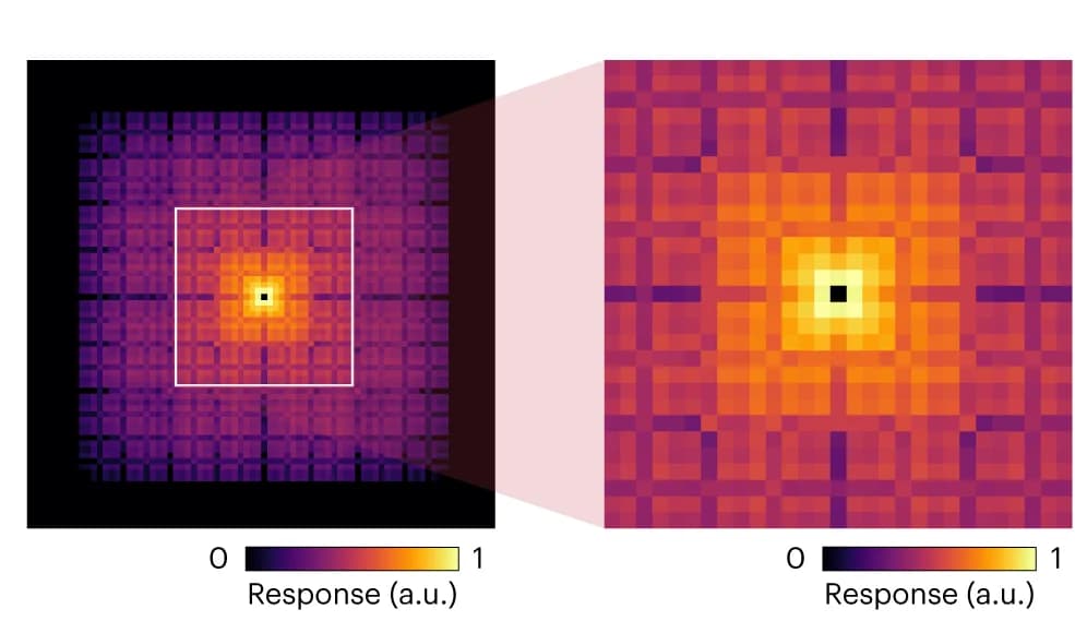 Open access visualization of Heatmap, SUPPORT Network, Impulse Response
