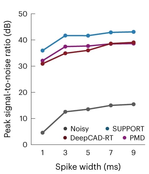 Open access visualization of Line Plot, PSNR, Baseline Correction, Denoising, Spike Widths