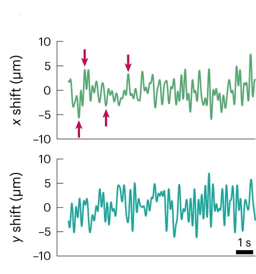 Open access visualization of Line Plot, Motion, Micrometer Scale