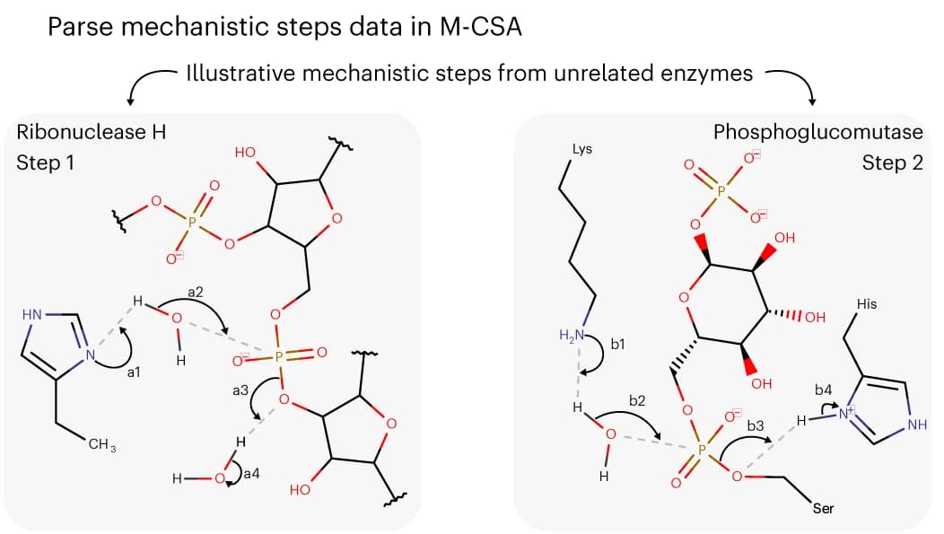 Open access visualization of Chemical Structure, Illustration, Enzymes, Mechanistic Steps, Chemical Similarities