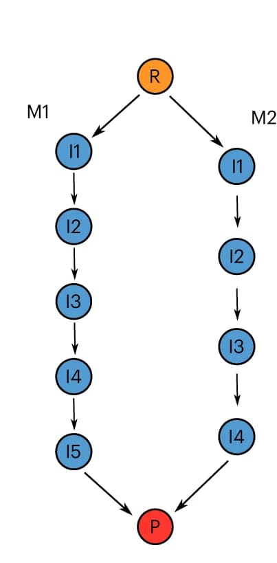 Open access visualization of Workflow, Flowchart, Mechanism, Reactants, Products