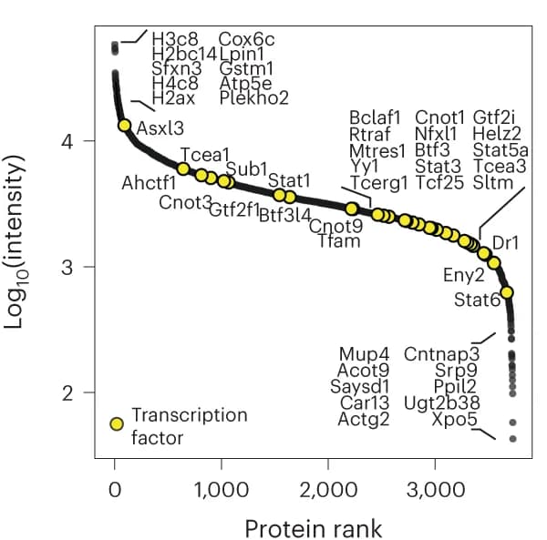 Open access visualization of Scatter Plot, Line Plot, scDVP workflow, mDIA, Proteins