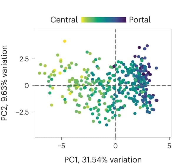 Open access visualization of Scatter Plot, PCA, Hepatocytes, Microscopy