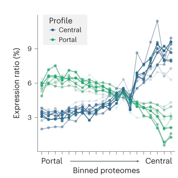 Open access visualization of Line Plot, Protein Expression, Spatial Bins, ANOVA, Fold Change