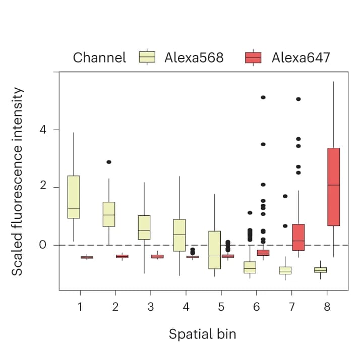 Open access visualization of Box Plot, Spatial markers, E-cadherin, Glul, Spatial bins