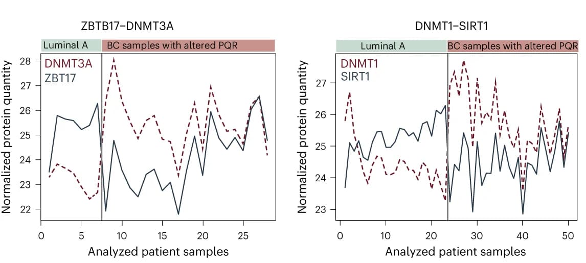 Open access visualization of Line Plot, Protein Quantities, Epigenetic Protein Pairs, DNMT3A, DNMT1