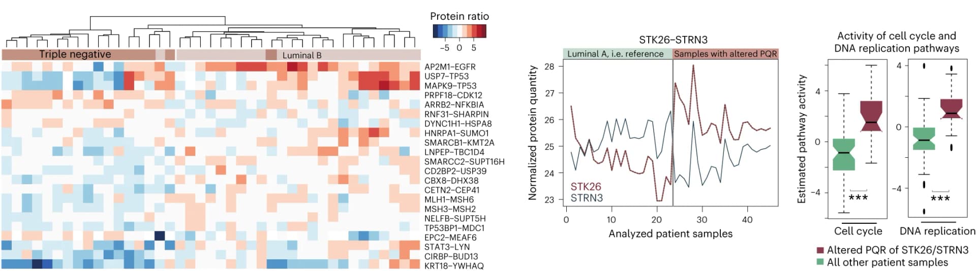 Open access visualization of Heatmap, Line Plot, Box Plot, Expression Levels, Protein Pairs
