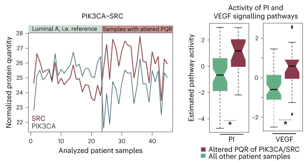 Open access visualization of Line Plot, Box Plot, Signaling Proteins, Phosphorylation Changes, Cellular Pathways