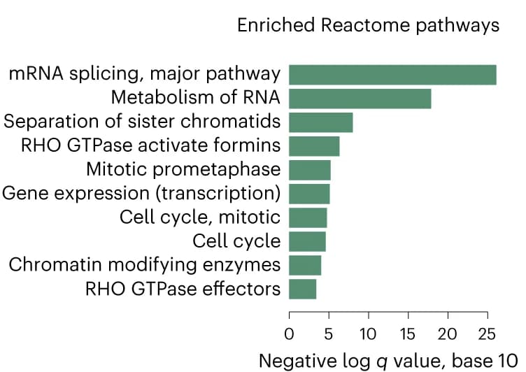 Open access visualization of Bar Plot, Reactome Pathways, Protein Complex Subunits, Basal BC Subtype, Functional Enrichment