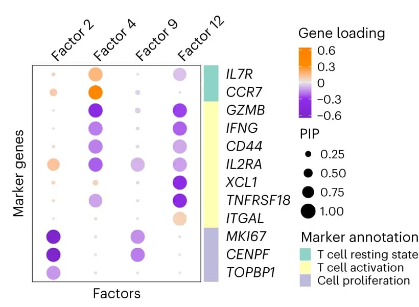 Open access visualization of Bubble Plot, Heatmap, Marker Genes, Factors, Gene PIP