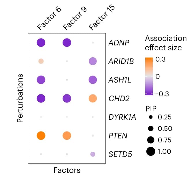 Open access visualization of Bubble Plot, Gene Perturbations, Factors, GSFA, PIP