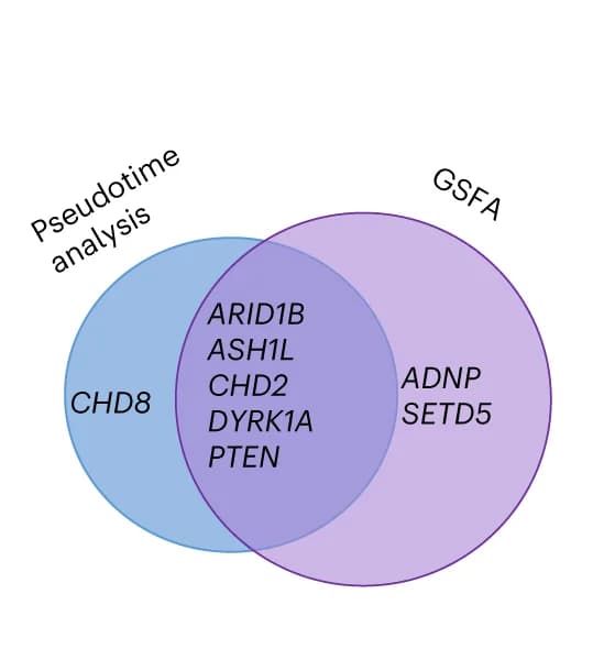 Open access visualization of Venn Diagram, Targets, Pseudotime Association Analysis, GSFA