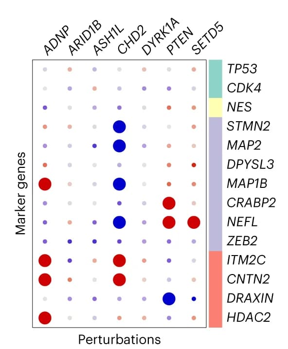 Open access visualization of Bubble Plot, Stacked Bar Plot, scMAGeCK, Perturbations, Marker Genes