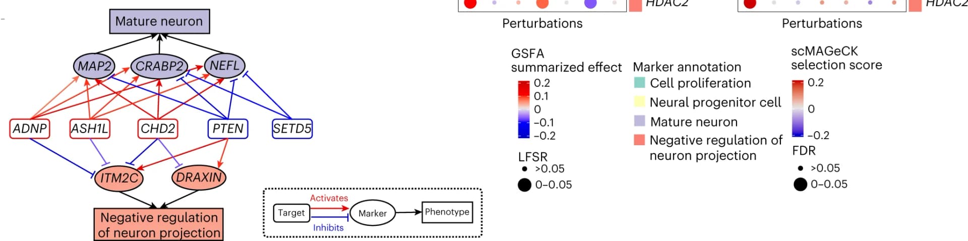 Open access visualization of Workflow, Flowchart, Scatter Plot, Bubble Plot, Target Genes