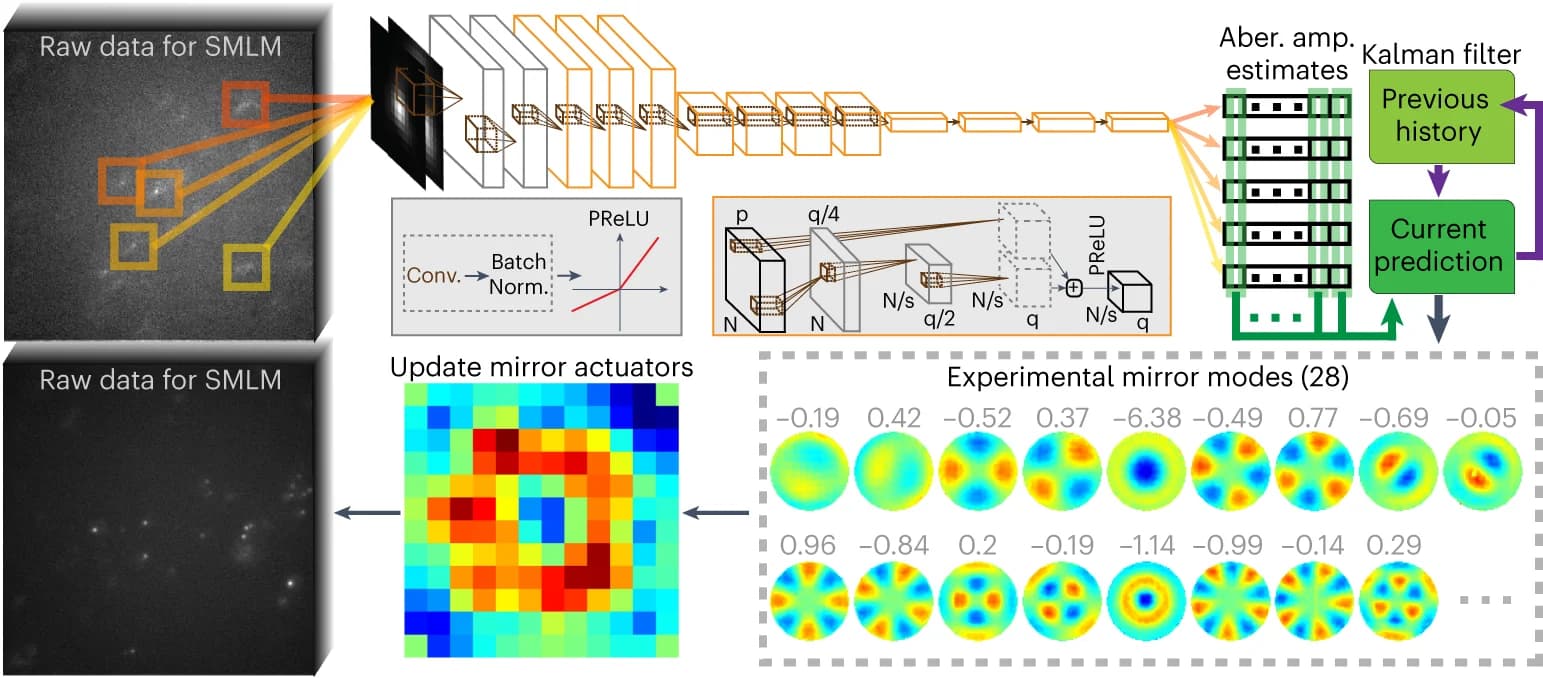 Open access visualization of Workflow, Illustration, Heatmap, Spectrogram, Microscopy