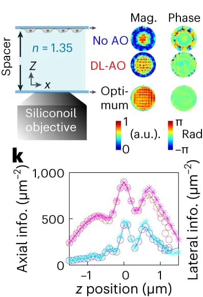 Open access visualization of Line Plot, Microscopy, Tom20 specimen, Pupil, Beads