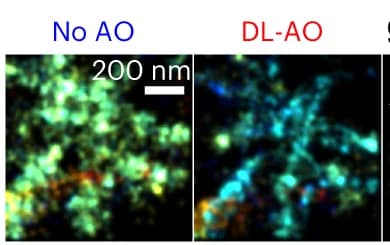Open access visualization of Microscopy, DL-AO