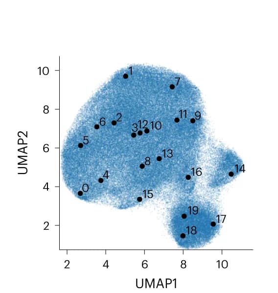 Open access visualization of UMAP, Scatter Plot, Latent Space, Particles, Cluster Centers
