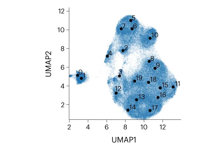 Open access visualization of UMAP, Scatter Plot, Latent Space, Particles, Cluster Centers