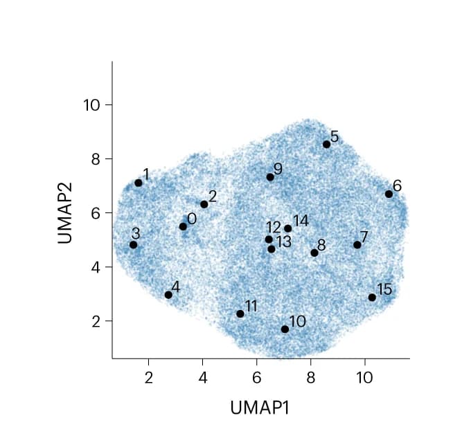 Open access visualization of Scatter Plot, UMAP, Latent Space, Particles, Cluster Centers