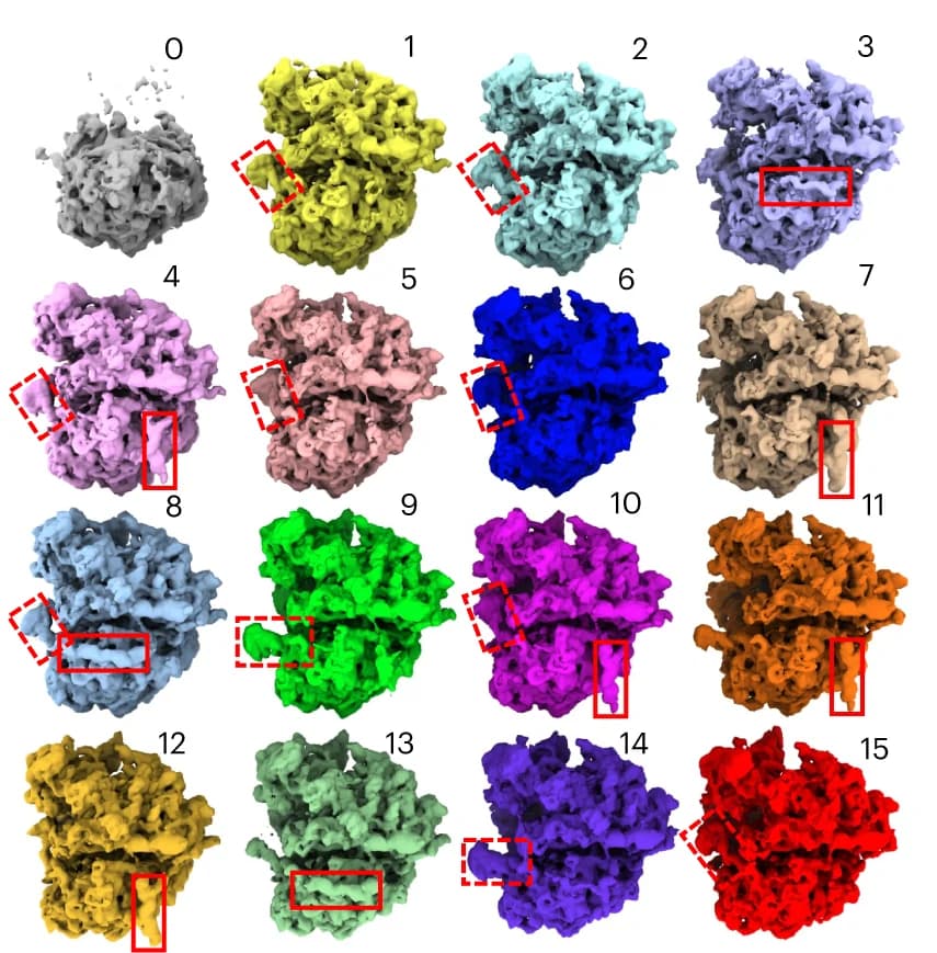 Open access visualization of Protein Structure, Density Maps, Decoder, K-means Clustering, Latent Space