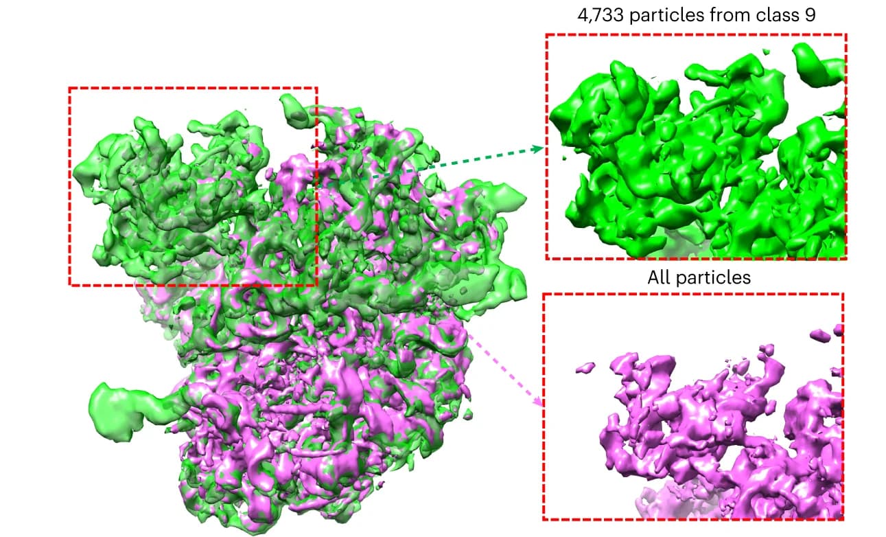 Open access visualization of Protein Structure, Density Map, Particles, ChimeraX