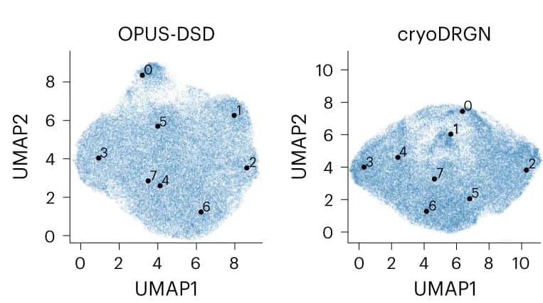 Open access visualization of UMAP, Scatter Plot, UMAP Visualization, Latent Space, Particles