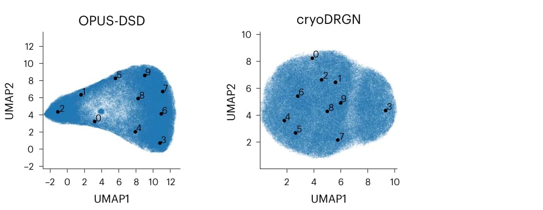 Open access visualization of UMAP, Scatter Plot, Latent Space, OPUS-DSD, cryoDRGN