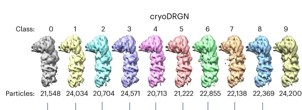Open access visualization of Protein Structure, Reconstructed Classes, cryoDRGN, Particles