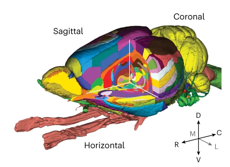 Open access visualization of 3D Plot, Protein Structure, Chemical Structure, 3D Surface Visualizations, Atlas