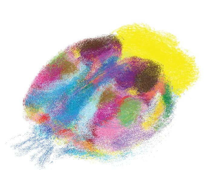 Open access visualization of Illustration, 3D Visualization, Data Points, Immunolabeled Cells, Atlas Region