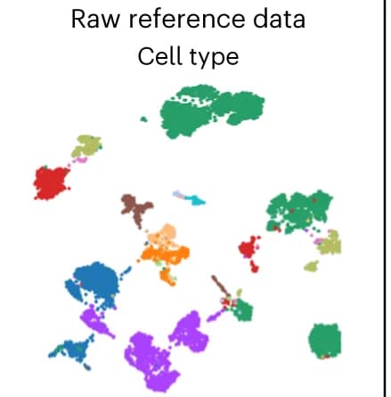 Open access visualization of Scatter Plot, UMAP, PCA, Raw Data, Reference