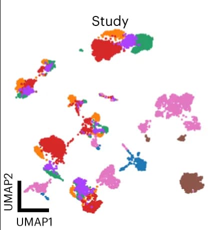 Open access visualization of Scatter Plot, UMAP, Raw Data, Reference, Studies