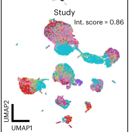 Open access visualization of UMAP, Reference Mapping, Study, Integration Score