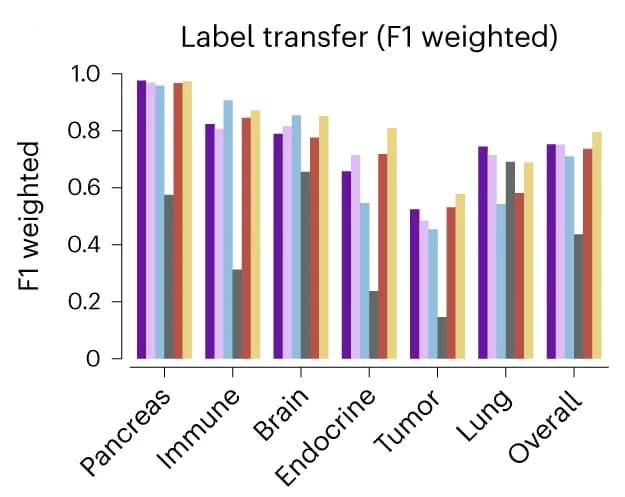 Open access visualization of Bar Plot, Clustered, Weighted F1 Score, Query Cells, Models