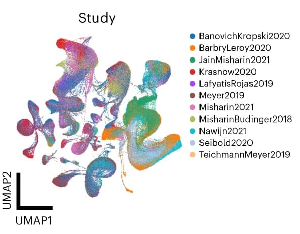 Open access visualization of UMAP, HLCA, Reference Building, Study of Origin