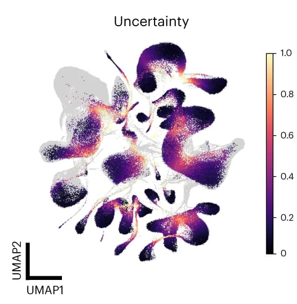 Open access visualization of UMAP, Integrated Object, Uncertainties, Reference Cells, Cell Type Prototypes