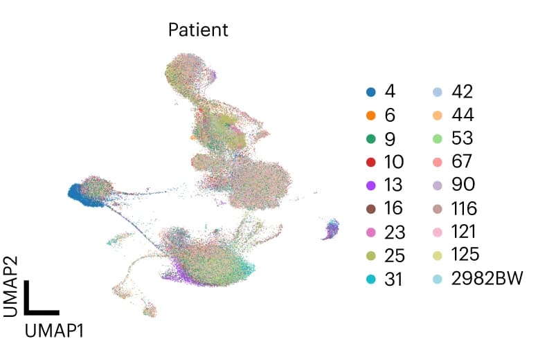 Open access visualization of UMAP, Integrated Dataset, Patient, Random Samples