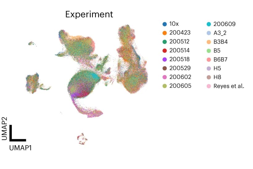 Open access visualization of UMAP, Scatter Plot, PBMC, COVID-19, Experiment