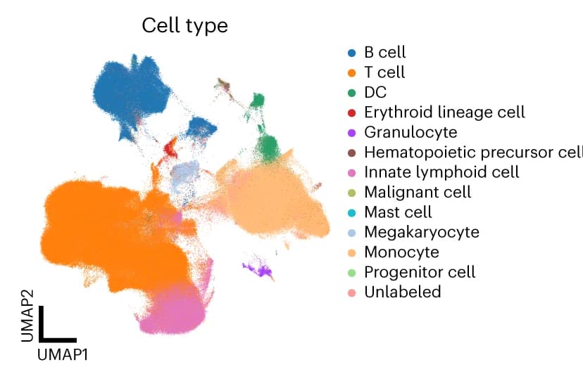 Open access visualization of UMAP, Scatter Plot, Uniform Manifold Approximation and Projection, Cell Type
