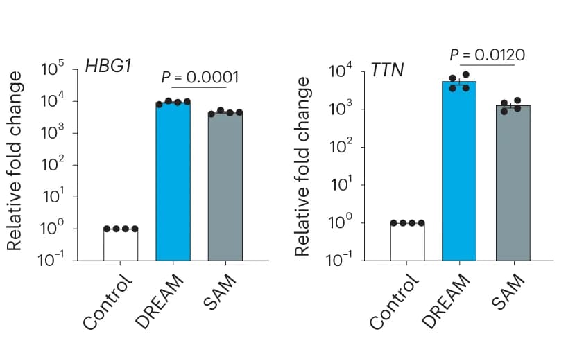 Open access visualization of Bar Plot, Error Bars, HBG1 Gene Activation, TTN Gene Activation, SadCas9-DREAM System