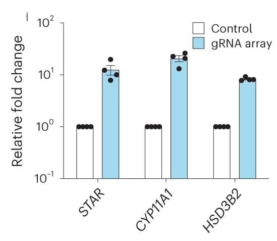 Open access visualization of Bar Plot, Error Bars, Clustered, STAR Gene Activation, CYP11A1 Gene Activation